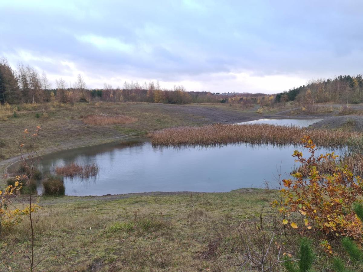 Rehoboth In Yew Gardens Lejlighed Doncaster Eksteriør billede